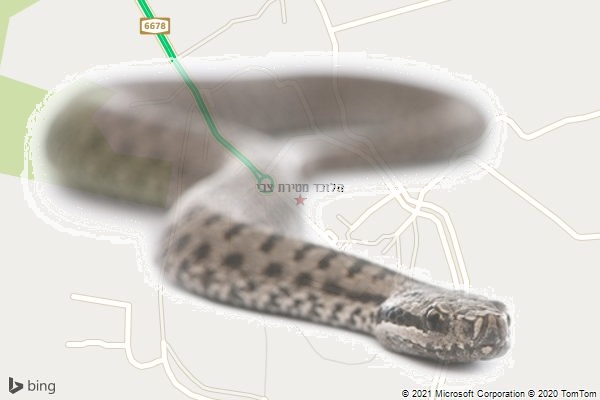 הלוכד מטירת צבי
