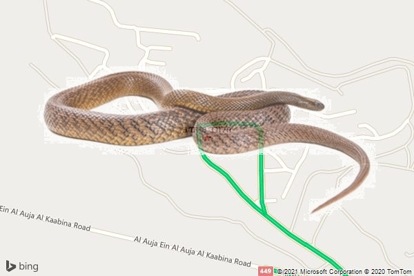 הלוכד מייט״ב