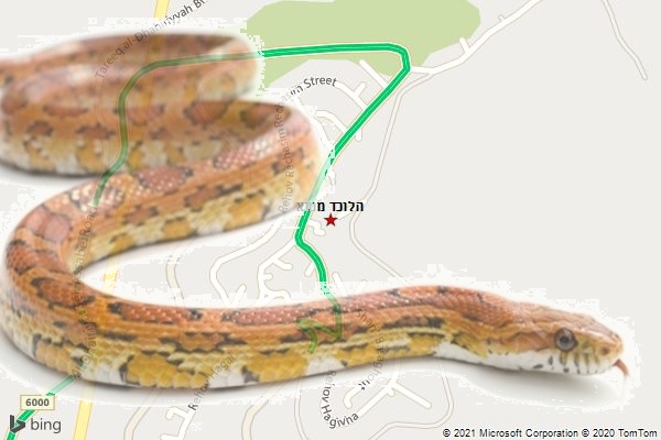 הלוכד מטנא
