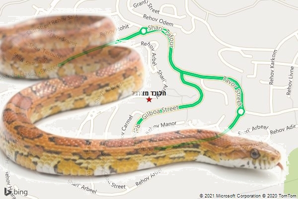 הלוכד מארבל