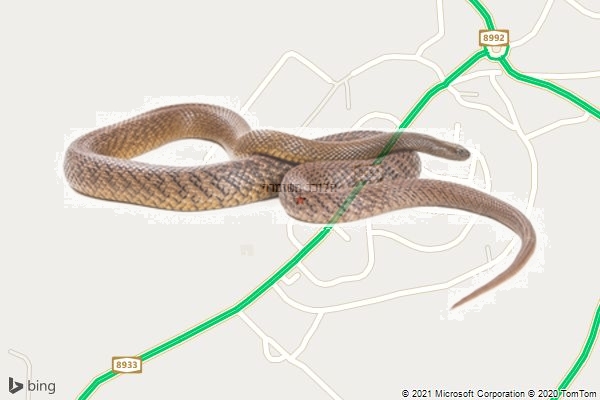 הלוכד משומרה