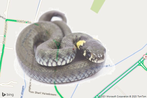 הלוכד מעדנים