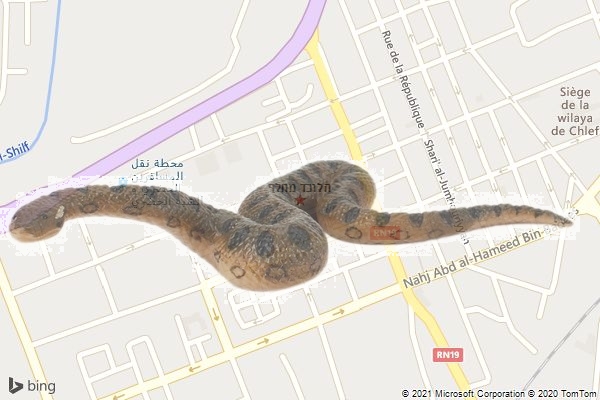 הלוכד מחלף