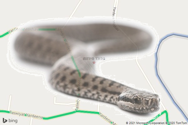 הלוכד מירדנה