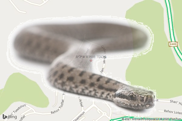 הלוכד מנצרת עילית