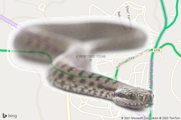 הלוכד משבי שומרון