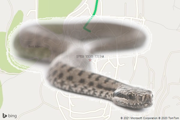 הלוכד מכפר עציון