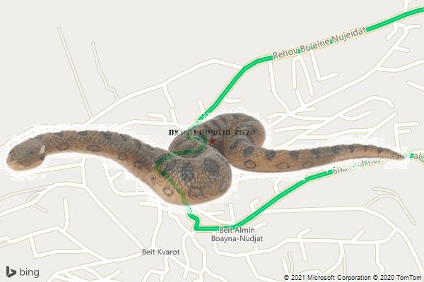 הלוכד מבועיינה נוגידאת