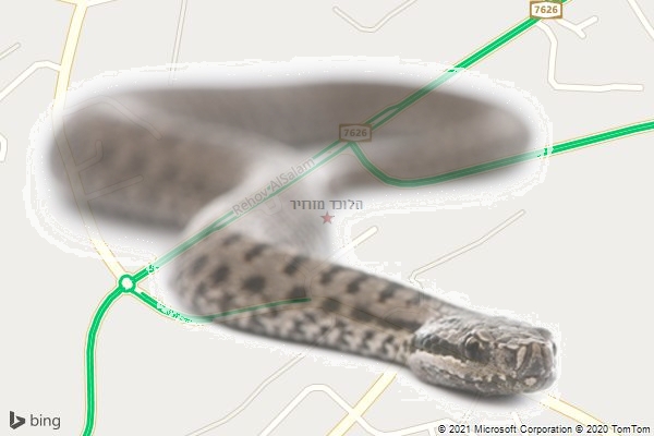 הלוכד מזרזיר