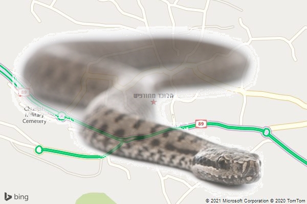 הלוכד מחורפיש