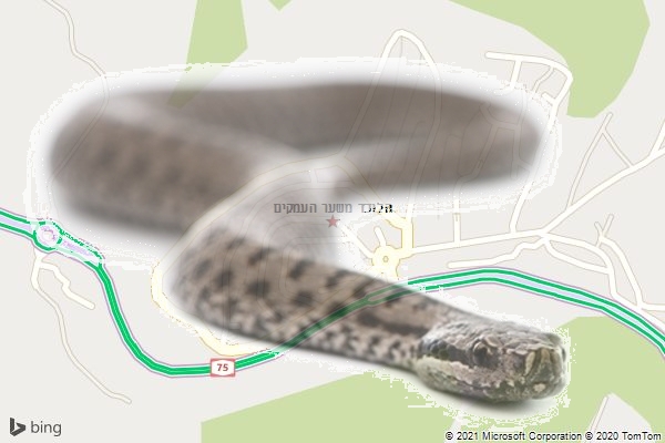 הלוכד משער העמקים