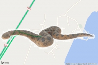 לוכד נחשים בגינוסר - הלוכד מגינוסר