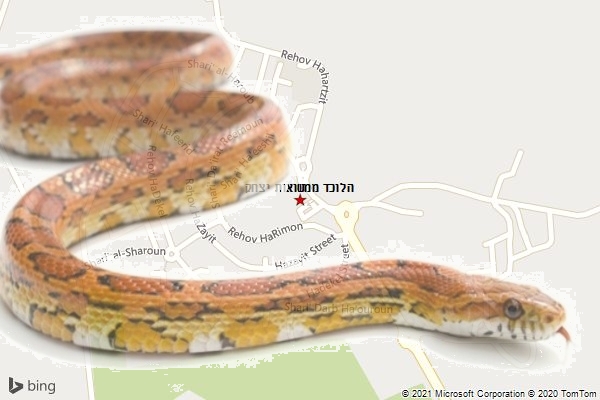 הלוכד ממשואות יצחק