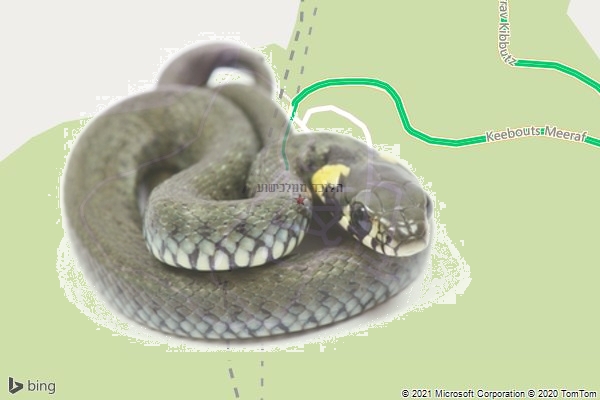 הלוכד ממלכישוע