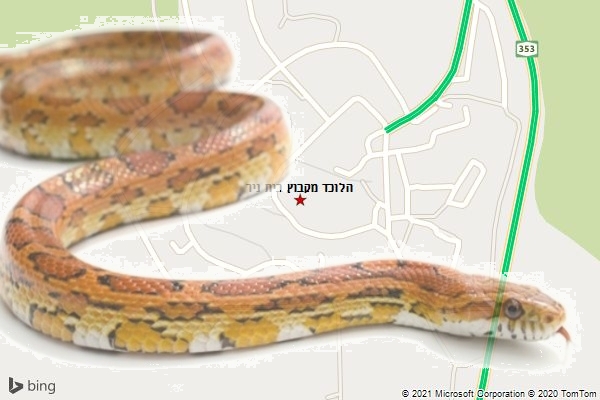 הלוכד מקבוץ בית ניר