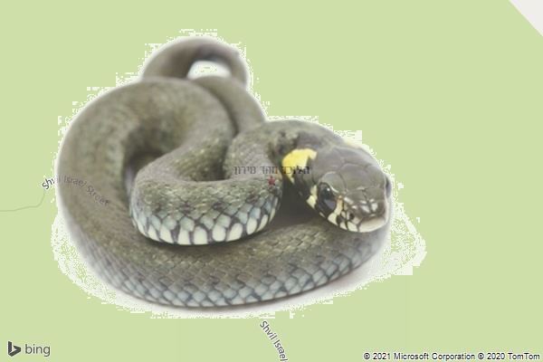 הלוכד מהר מירון