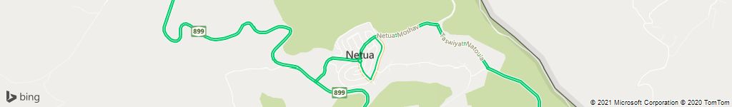 לוכדי נחשים בנטועה