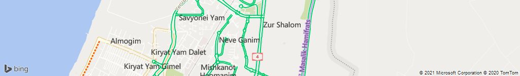 לוכדי נחשים בצור שלום