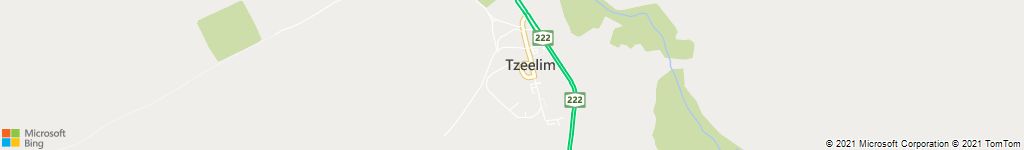 צאלים