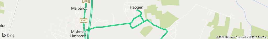 קיבוץ העוגן