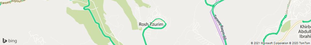 ראש צורים